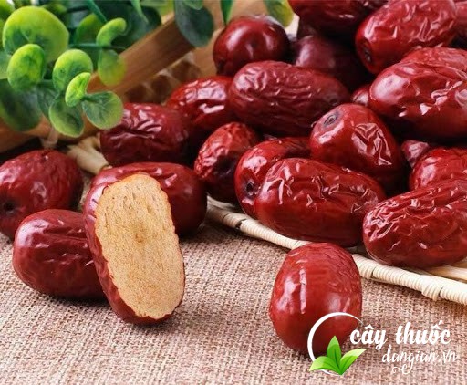 tao-do-ho-tro-giam-can